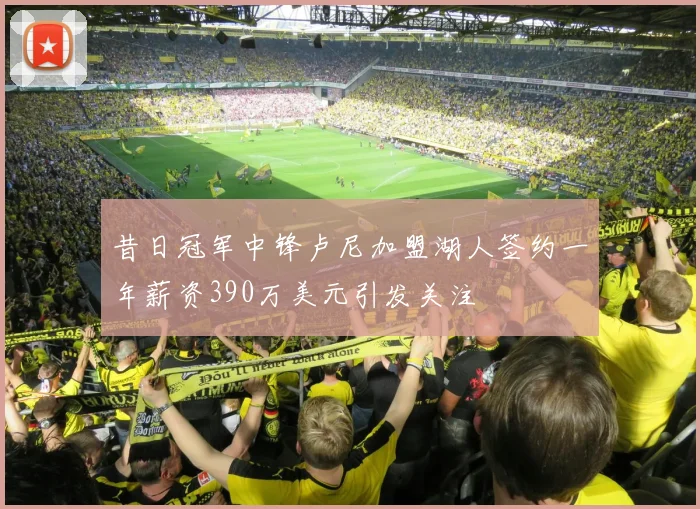 昔日冠军中锋卢尼加盟湖人签约一年薪资390万美元引发关注